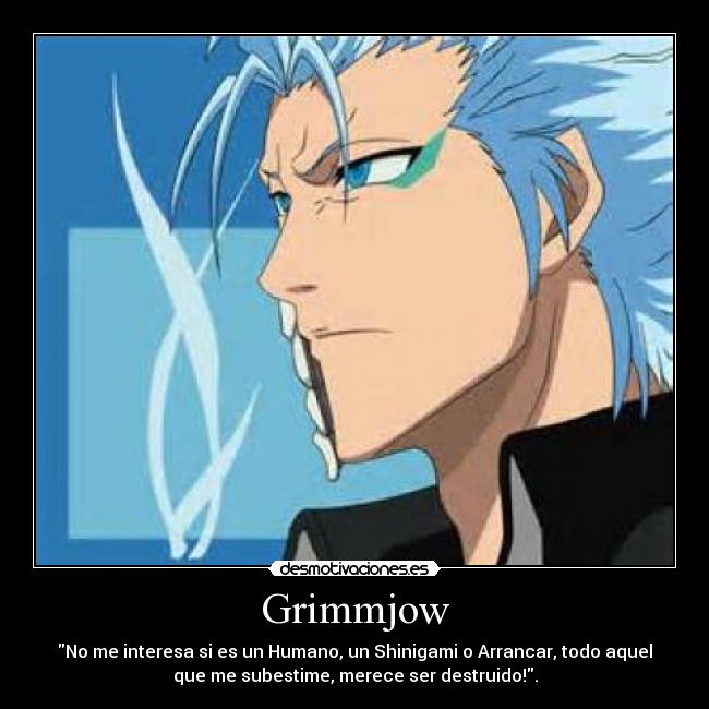 Grimmjow - No me interesa si es un Humano, un Shinigami o Arrancar, todo aquel
que me subestime, merece ser destruido!.
