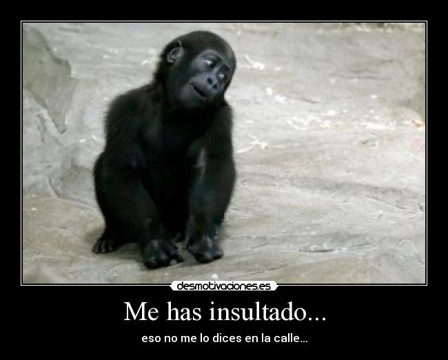 Me has insultado... - eso no me lo dices en la calle...