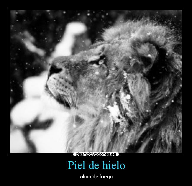 carteles animales desmotivaciones