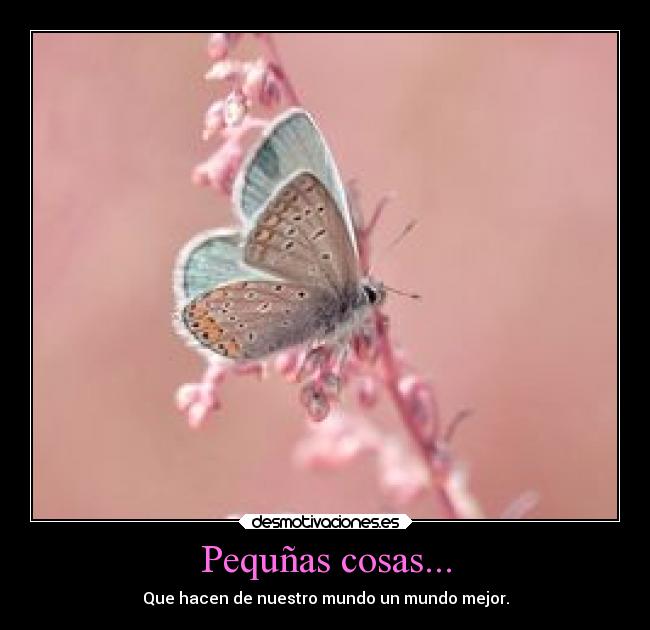 Pequñas cosas... - 