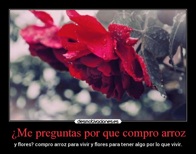 carteles cualquier parecido con realidad pura coincidencia desmotivaciones