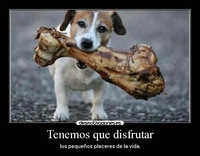 carteles vida placeres desmotivaciones