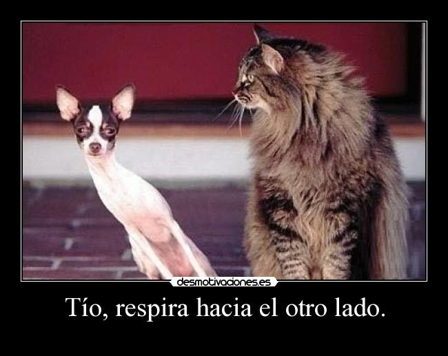 Tío, respira hacia el otro lado. -