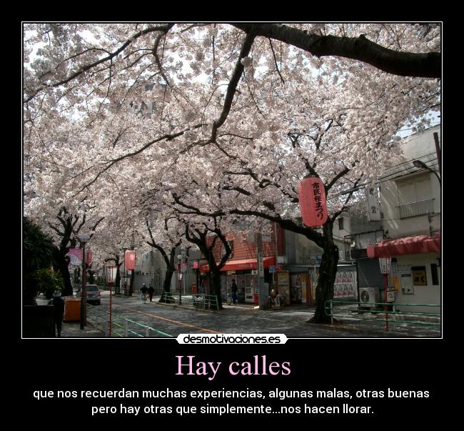 Hay calles - que nos recuerdan muchas experiencias, algunas malas, otras buenas
pero hay otras que simplemente...nos hacen llorar.