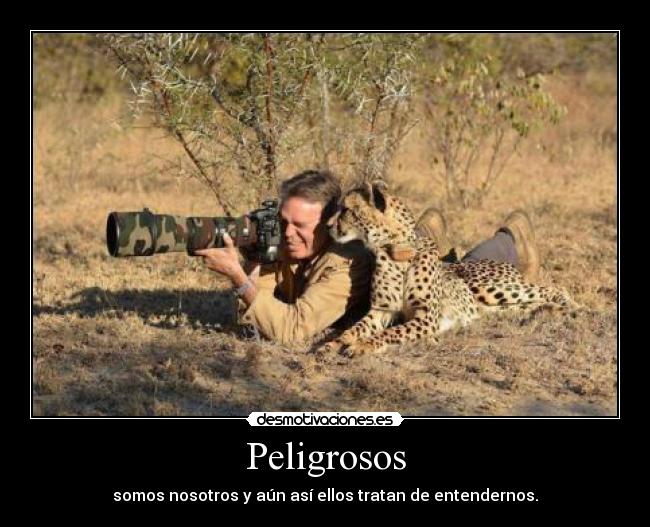 Peligrosos - somos nosotros y aún así ellos tratan de entendernos.