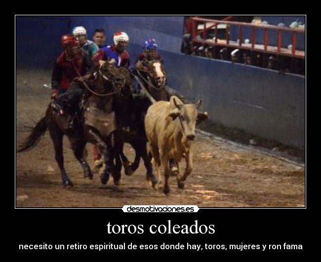 carteles animales deportes desmotivaciones