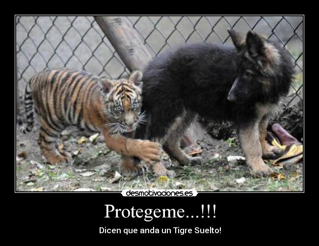 Protegeme...!!! - 