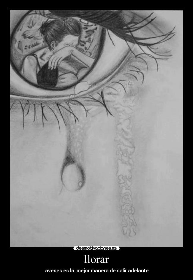 carteles llorar llorar desmotivaciones