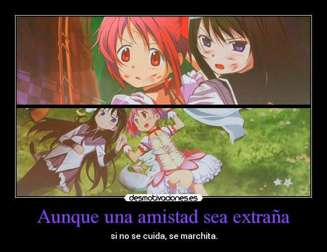 Aunque una amistad sea extraña - si no se cuida, se marchita.