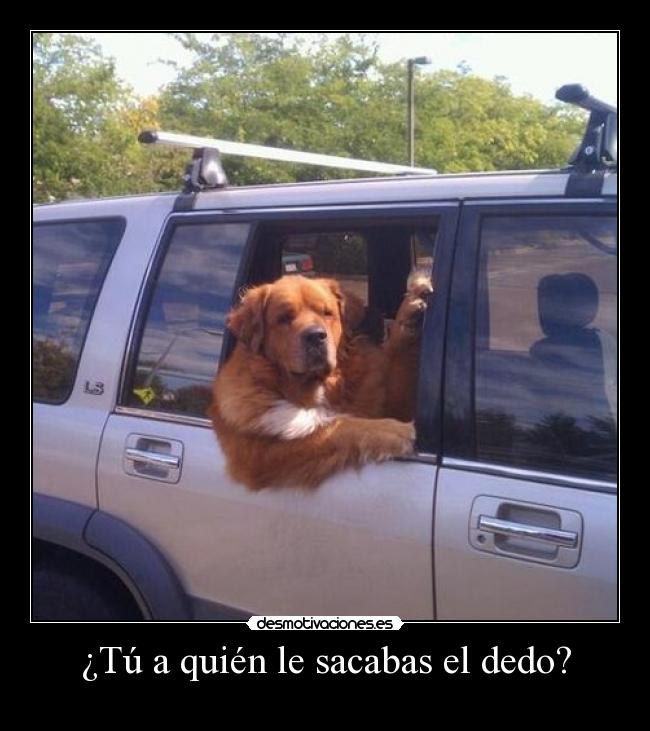 ¿Tú a quién le sacabas el dedo? - 