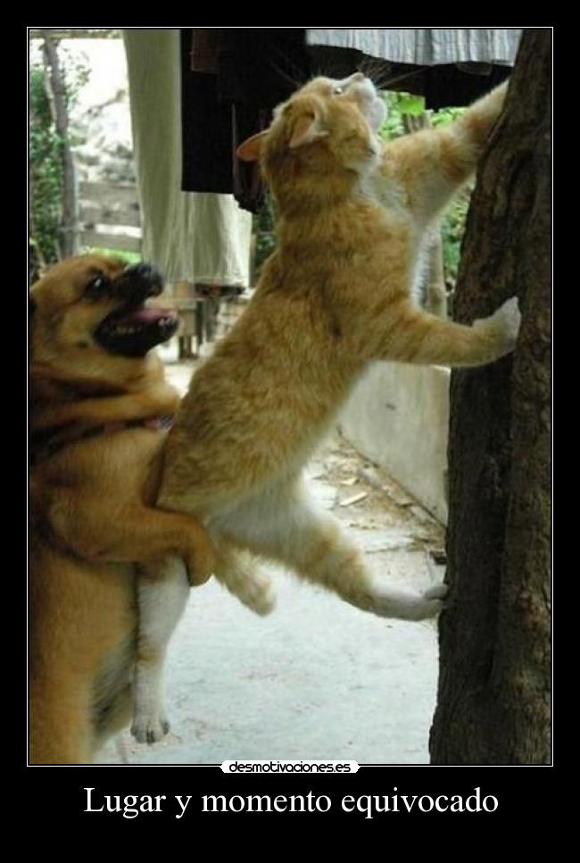 Lugar y momento equivocado - 