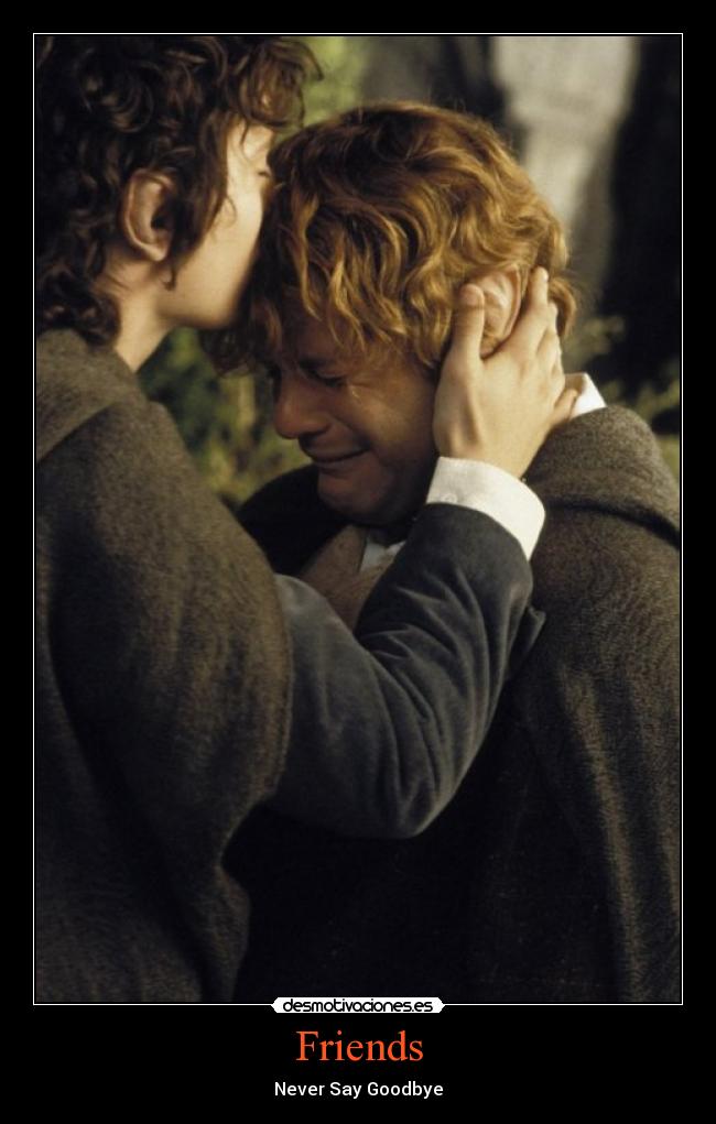 Friends - Never Say Goodbye