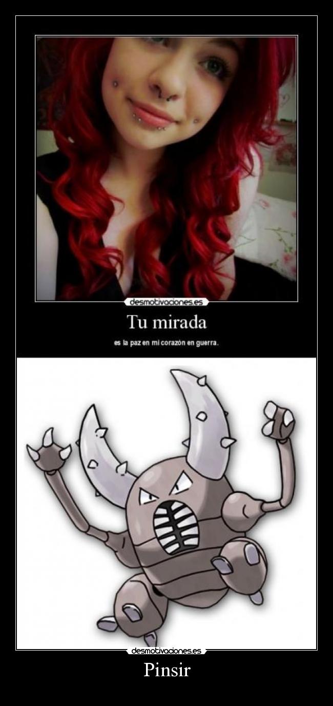 Pinsir - 