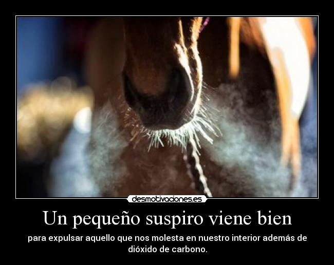 Un pequeño suspiro viene bien - 
