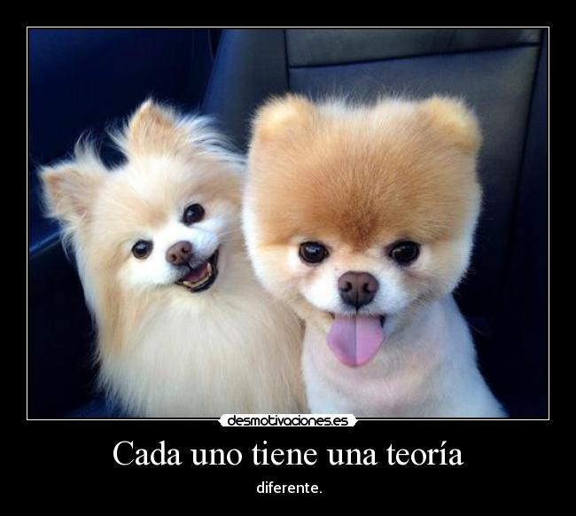 Cada uno tiene una teoría - 