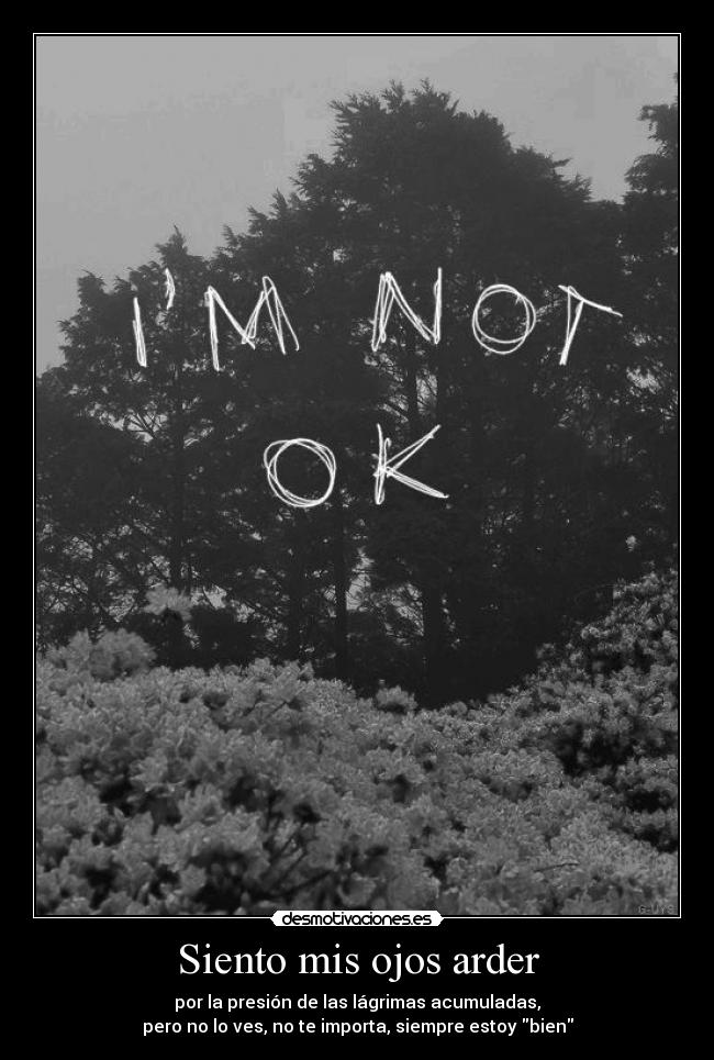 Siento mis ojos arder - por la presión de las lágrimas acumuladas,
pero no lo ves, no te importa, siempre estoy bien