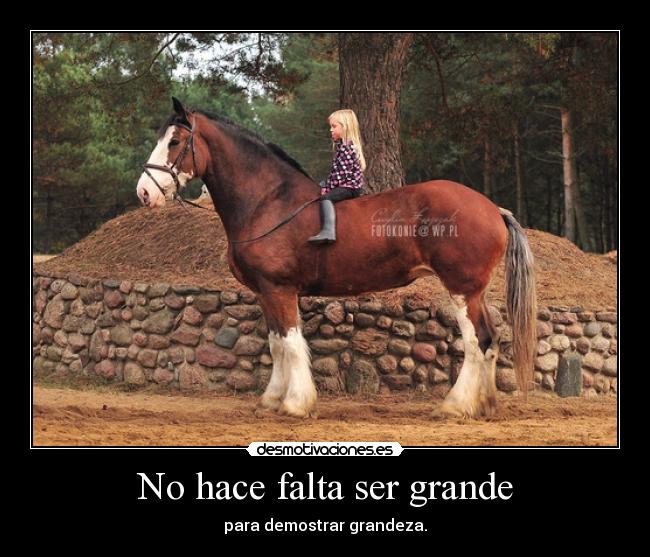 carteles caballos ninos desmotivaciones