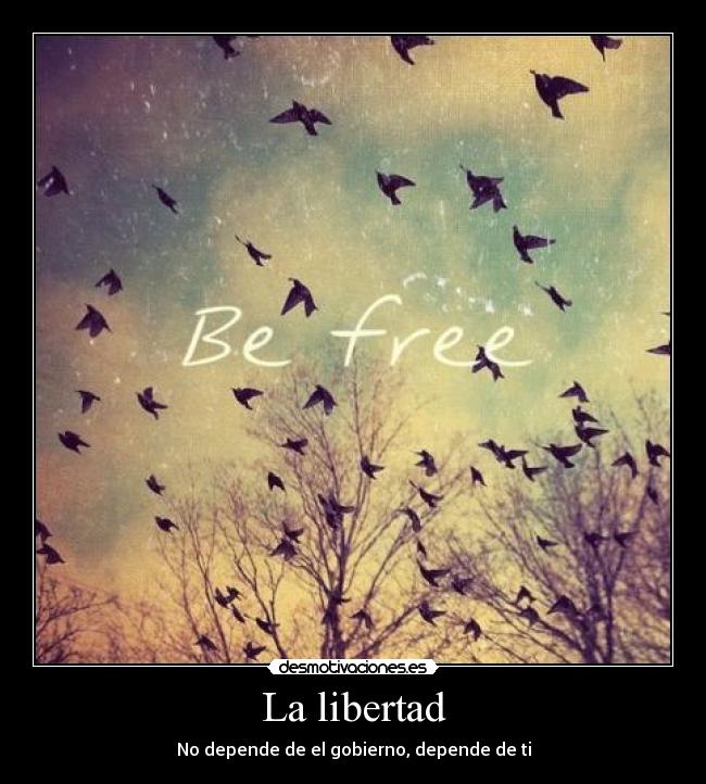 La libertad - No depende de el gobierno, depende de ti