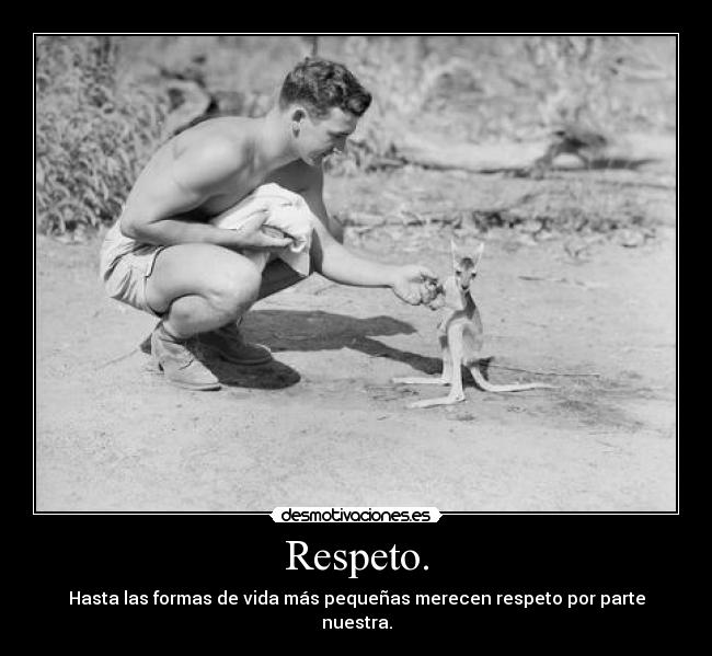 Respeto. - Hasta las formas de vida más pequeñas merecen respeto por parte nuestra.