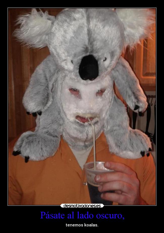 Pásate al lado oscuro, - tenemos koalas.