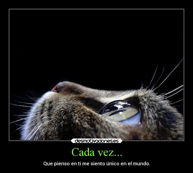 Cada vez... - Que pienso en ti me siento único en el mundo.