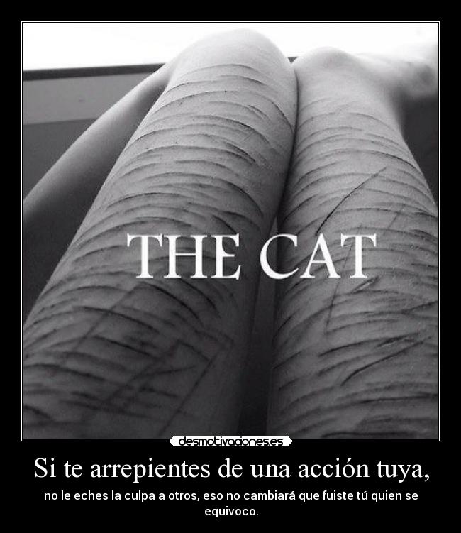 Si te arrepientes de una acción tuya, - no le eches la culpa a otros, eso no cambiará que fuiste tú quien se
equivoco.