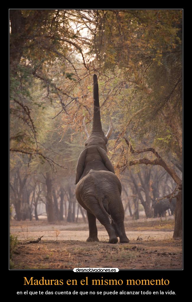 Maduras en el mismo momento -
