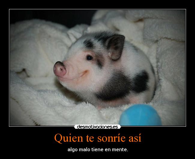 Quien te sonríe así - algo malo tiene en mente.