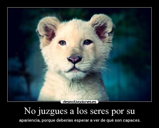 No juzgues a los seres por su -