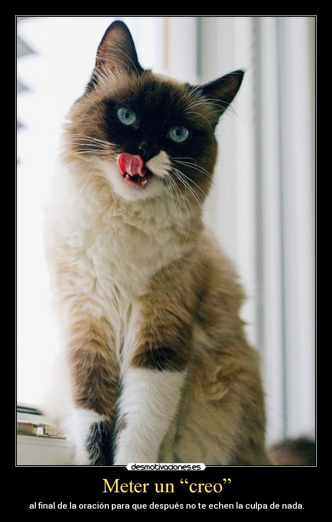 Meter un “creo” -