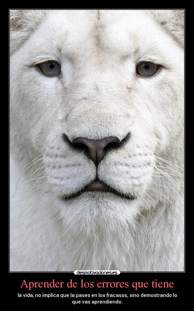 Aprender de los errores que tiene - la vida, no implica que la pases en los fracasos, sino demostrando lo
que vas aprendiendo.