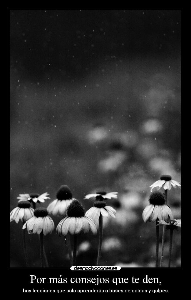 Por más consejos que te den, -