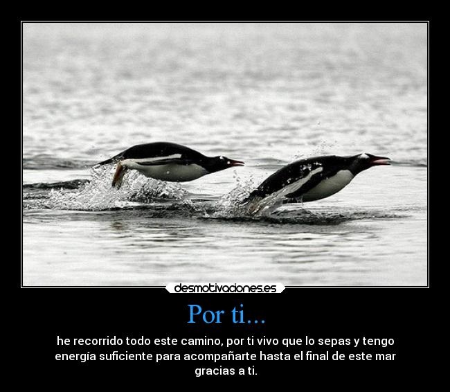 Por ti... - he recorrido todo este camino, por ti vivo que lo sepas y tengo
energía suficiente para acompañarte hasta el final de este mar
gracias a ti.