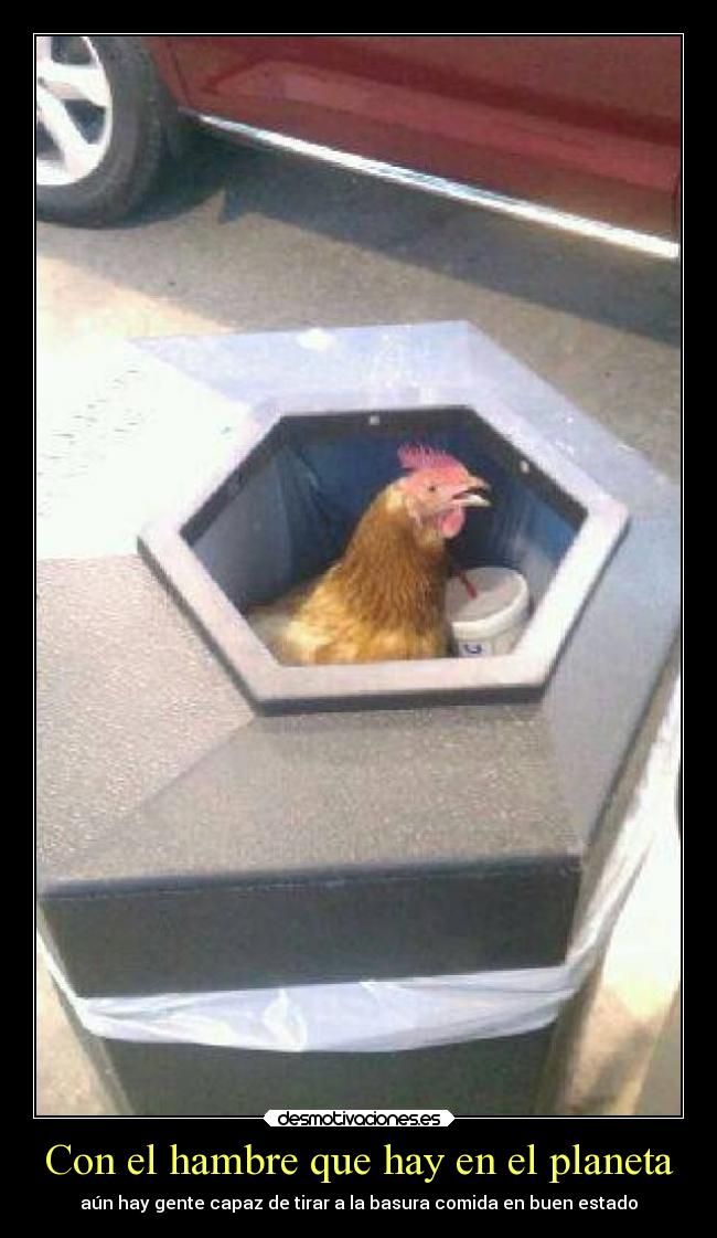 Con el hambre que hay en el planeta - 
