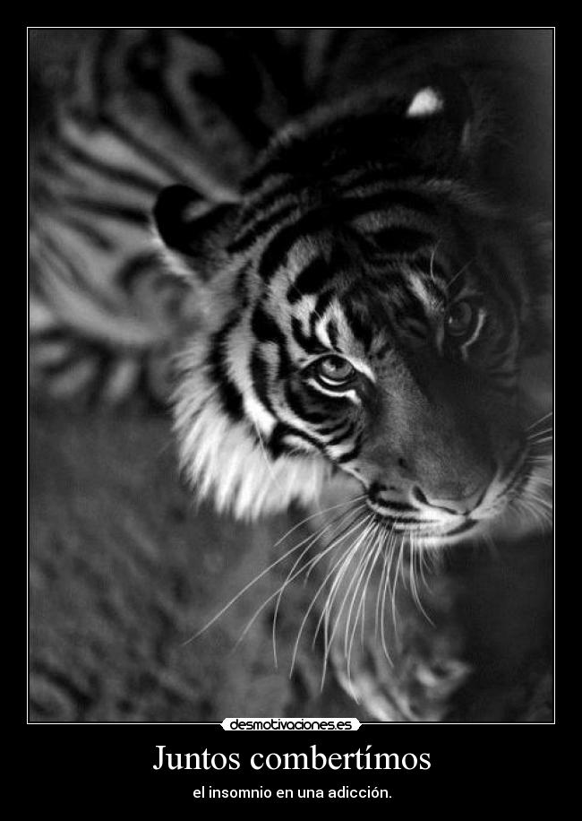 Juntos combertímos - el insomnio en una adicción.