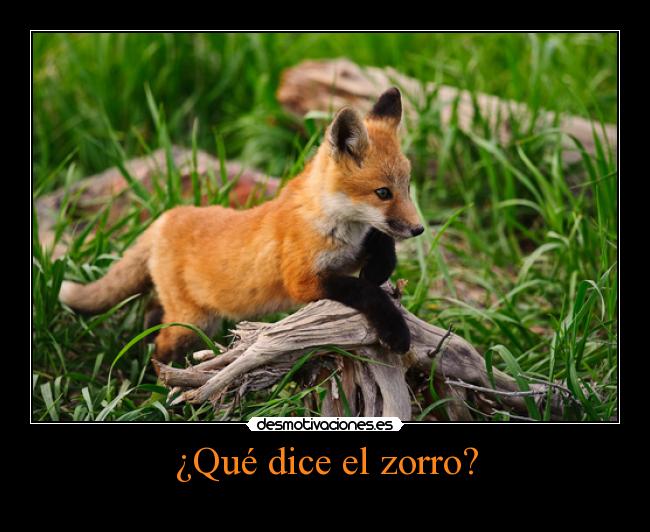 ¿Qué dice el zorro? - 