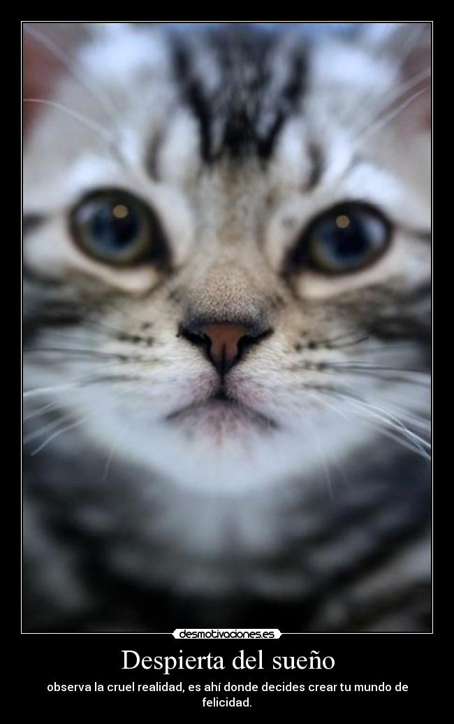 Despierta del sueño - 