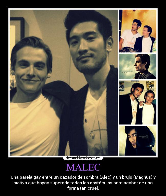 MALEC - Una pareja gay entre un cazador de sombra (Alec) y un brujo (Magnus) y
motiva que hayan superado todos los obstáculos para acabar de una
forma tan cruel.