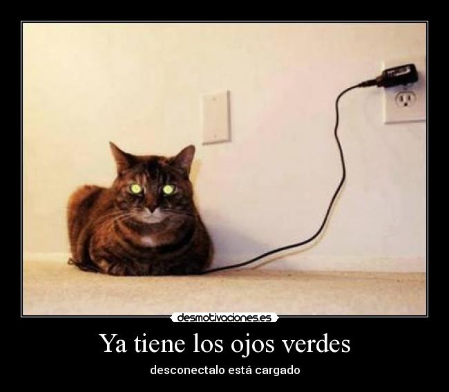 Ya tiene los ojos verdes -