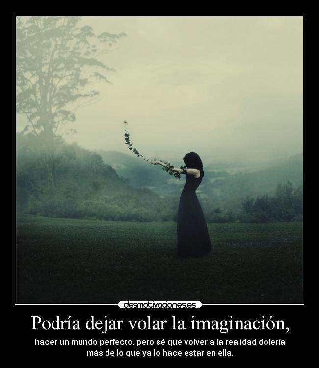 carteles imaginacion cajitaman suenos realidad imaginacion por imagen desmotivaciones