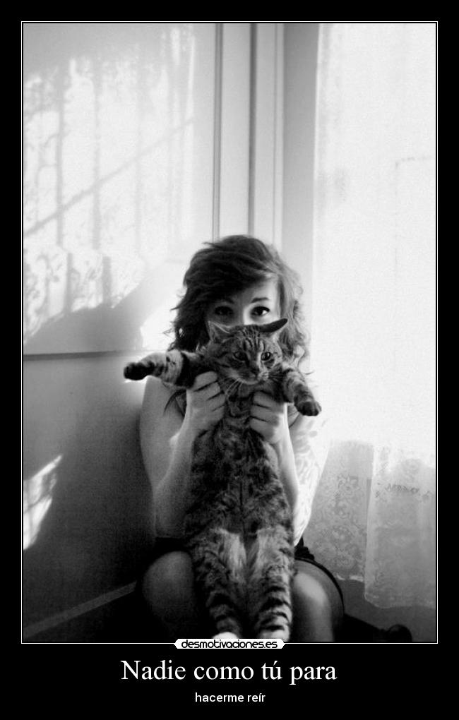 carteles alegria gatito mira ahi estas tu crais desmotivaciones