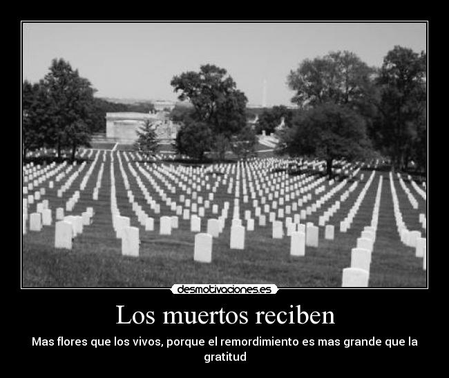 carteles tumba desmotivaciones