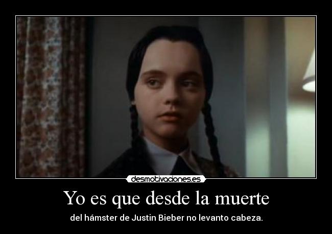 Yo es que desde la muerte - del hámster de Justin Bieber no levanto cabeza.