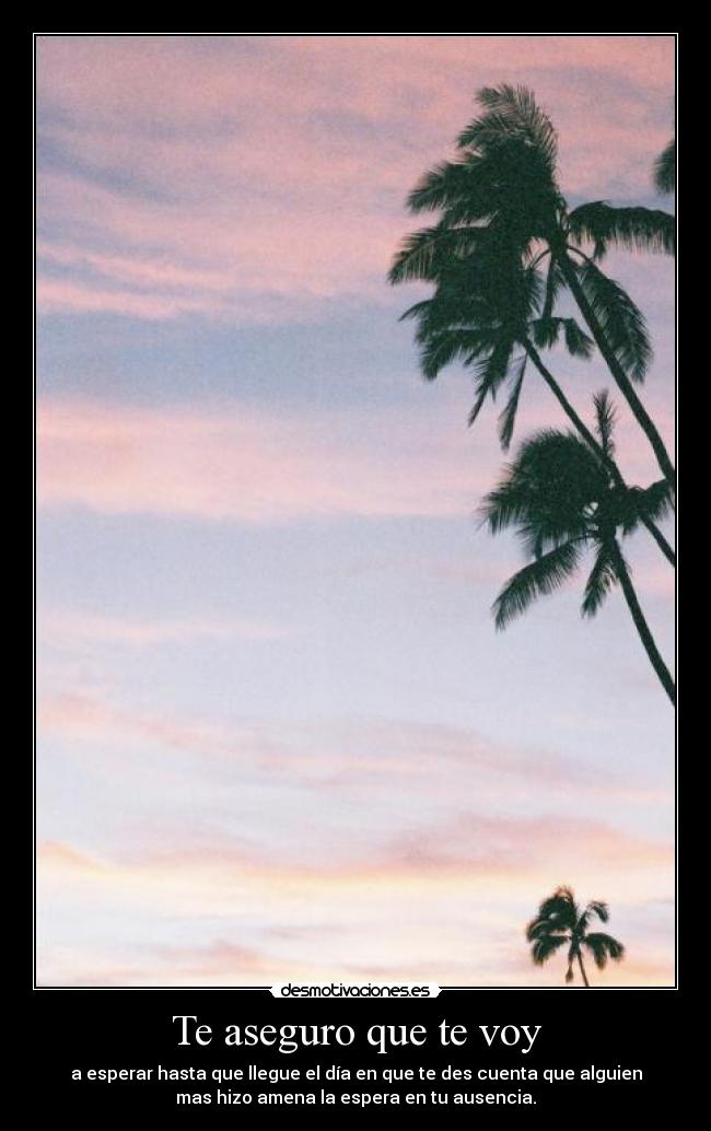 Te aseguro que te voy - a esperar hasta que llegue el día en que te des cuenta que alguien
mas hizo amena la espera en tu ausencia.