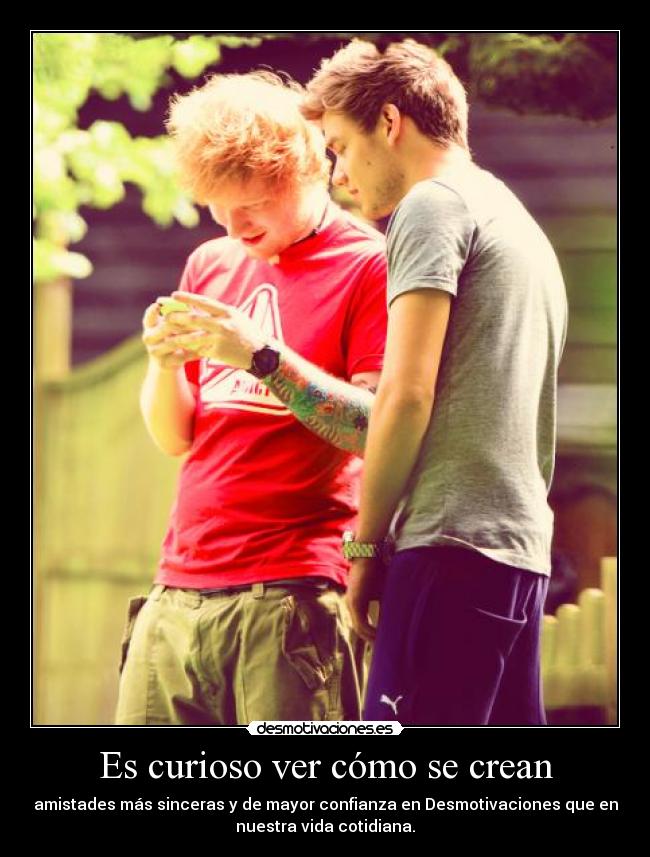 Es curioso ver cómo se crean -