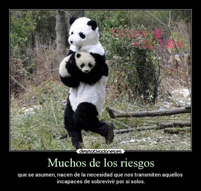 Muchos de los riesgos - que se asumen, nacen de la necesidad que nos transmiten aquellos 
incapaces de sobrevivir por si solos.