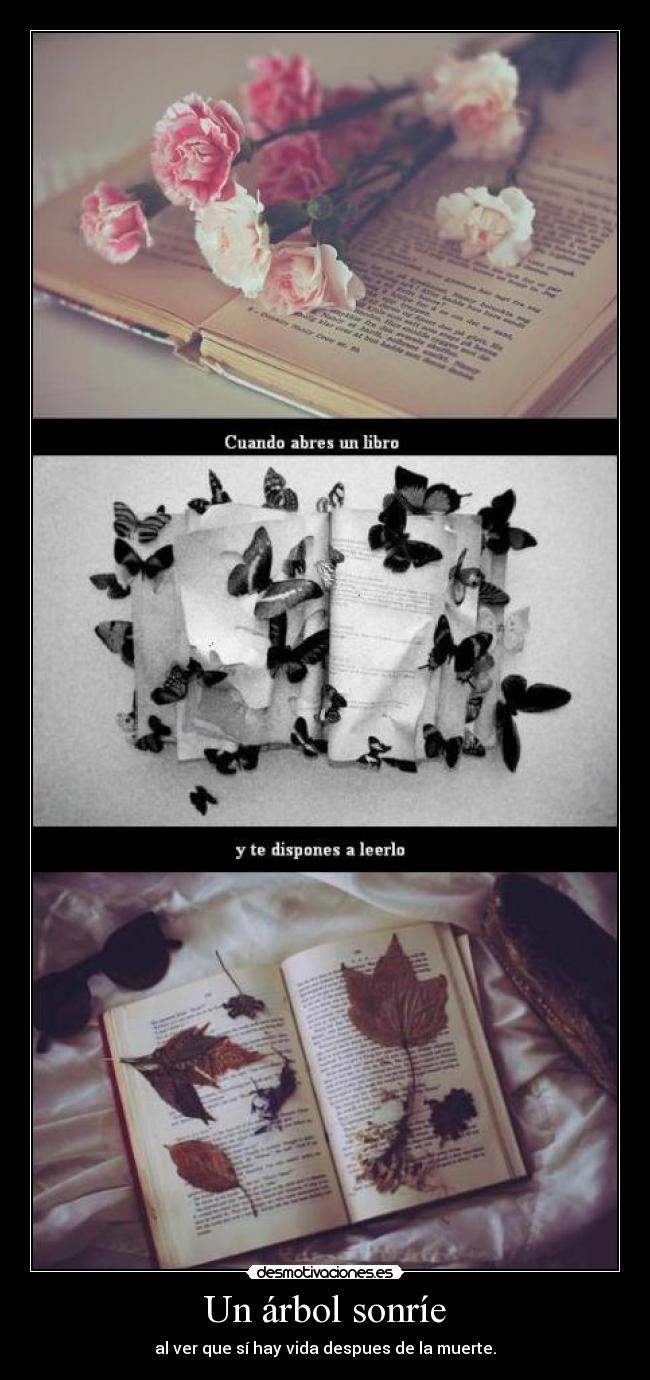 Un árbol sonríe - al ver que sí hay vida despues de la muerte.