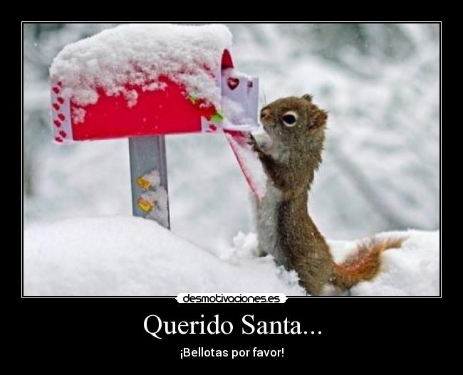 Querido Santa... - ¡Bellotas por favor!