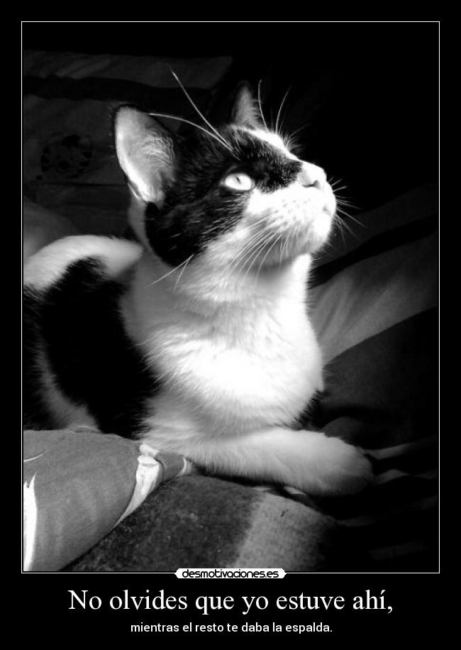 No olvides que yo estuve ahí, - 