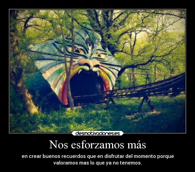 Nos esforzamos más - en crear buenos recuerdos que en disfrutar del momento porque
valoramos mas lo que ya no tenemos.